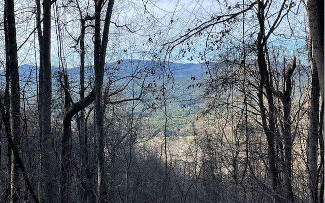 LT 73 Hidden Treasure Est