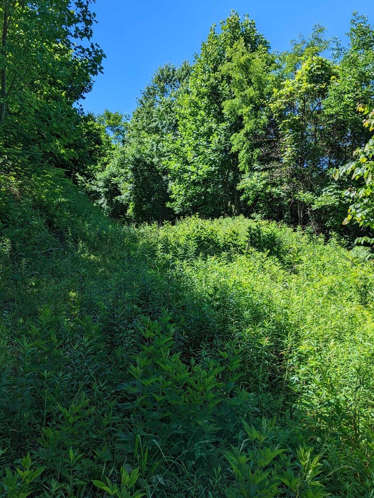 Lot 2 Hickory Ridge