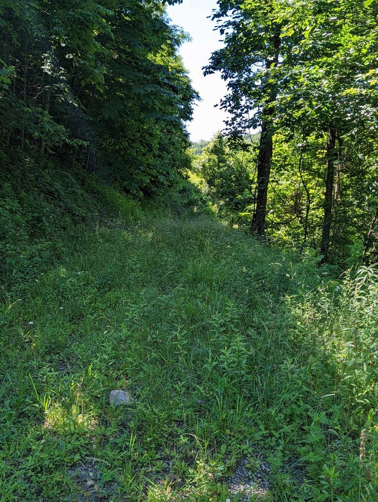 Lot 2 Hickory Ridge