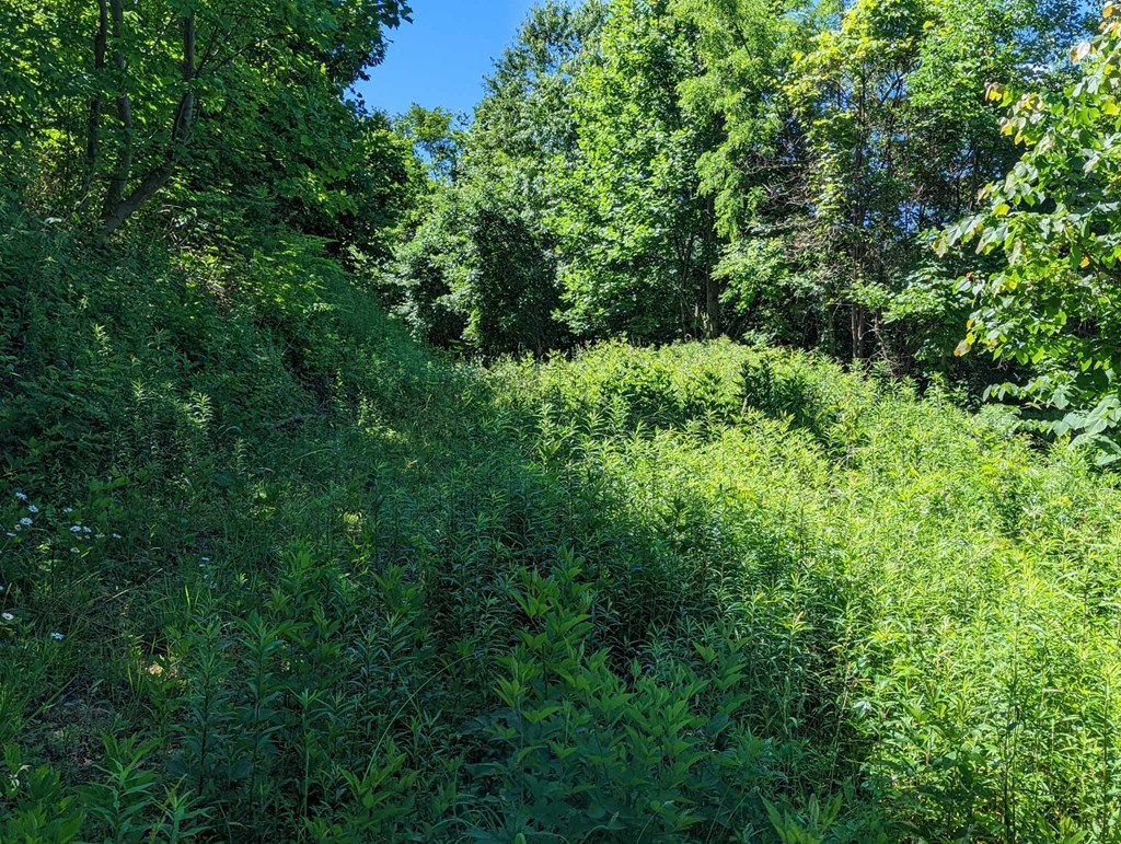 Lot 2 Hickory Ridge
