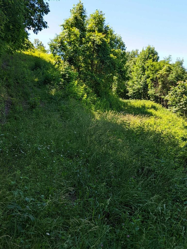 Lot 2 Hickory Ridge