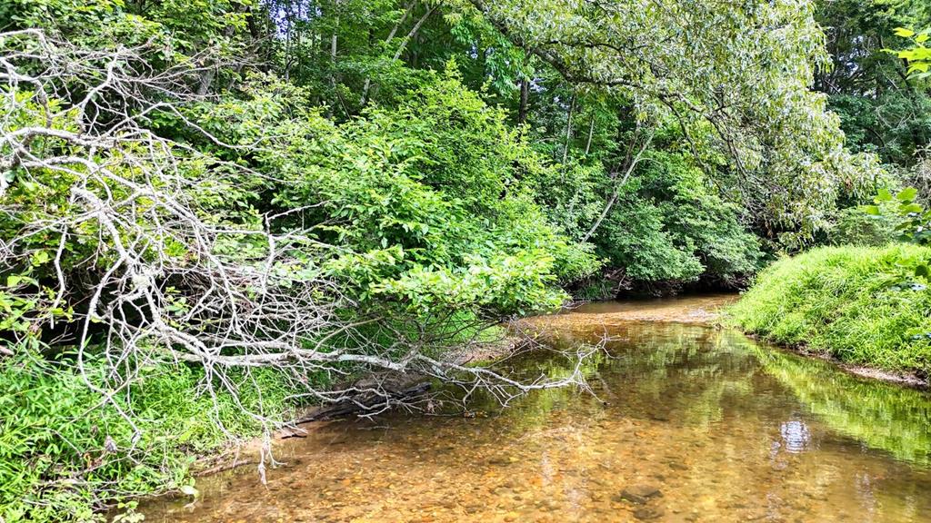 273 Coosa Valley Road