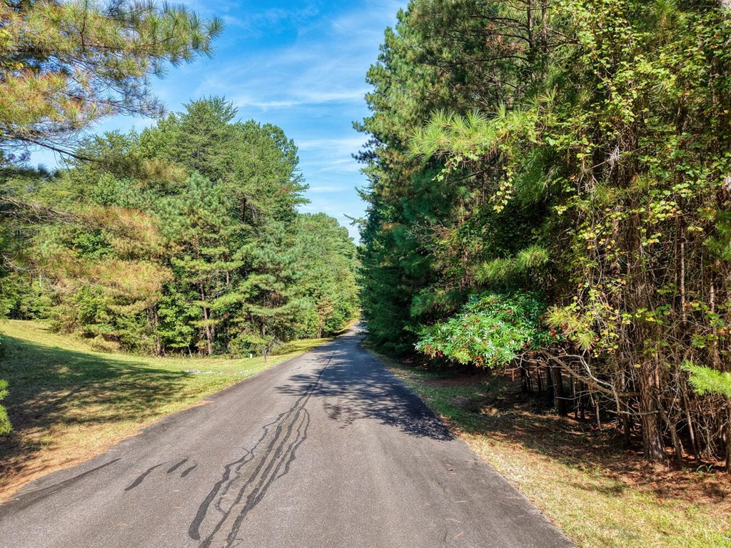 Lot 89 Creek Hollow Lane