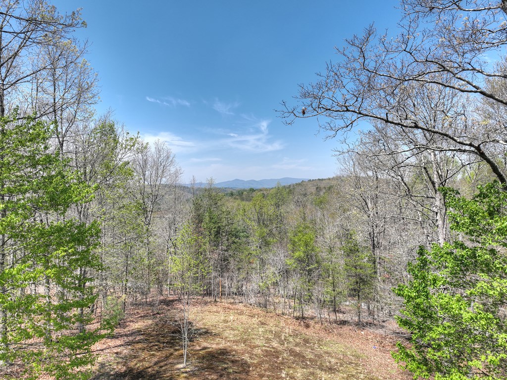 5 Moccasin Trail