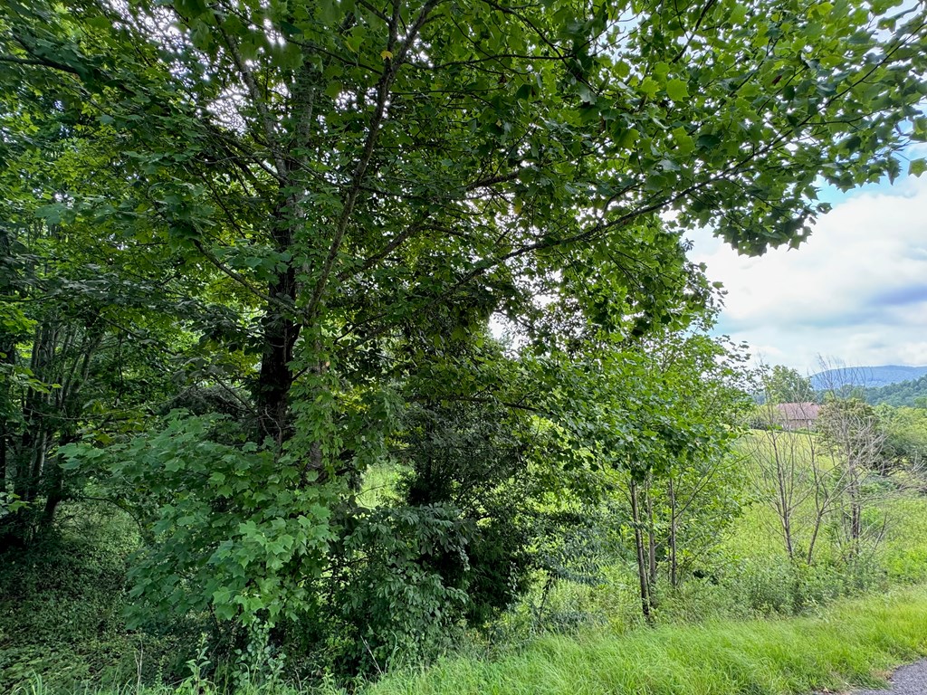 Lot 10 Chatuge Shores Overlook