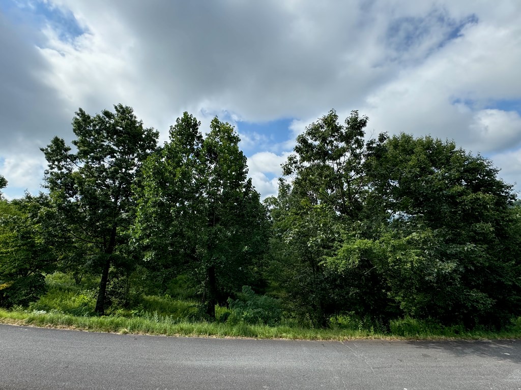 Lot 10 Chatuge Shores Overlook