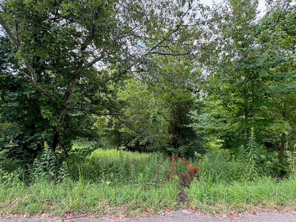 Lot 10 Chatuge Shores Overlook