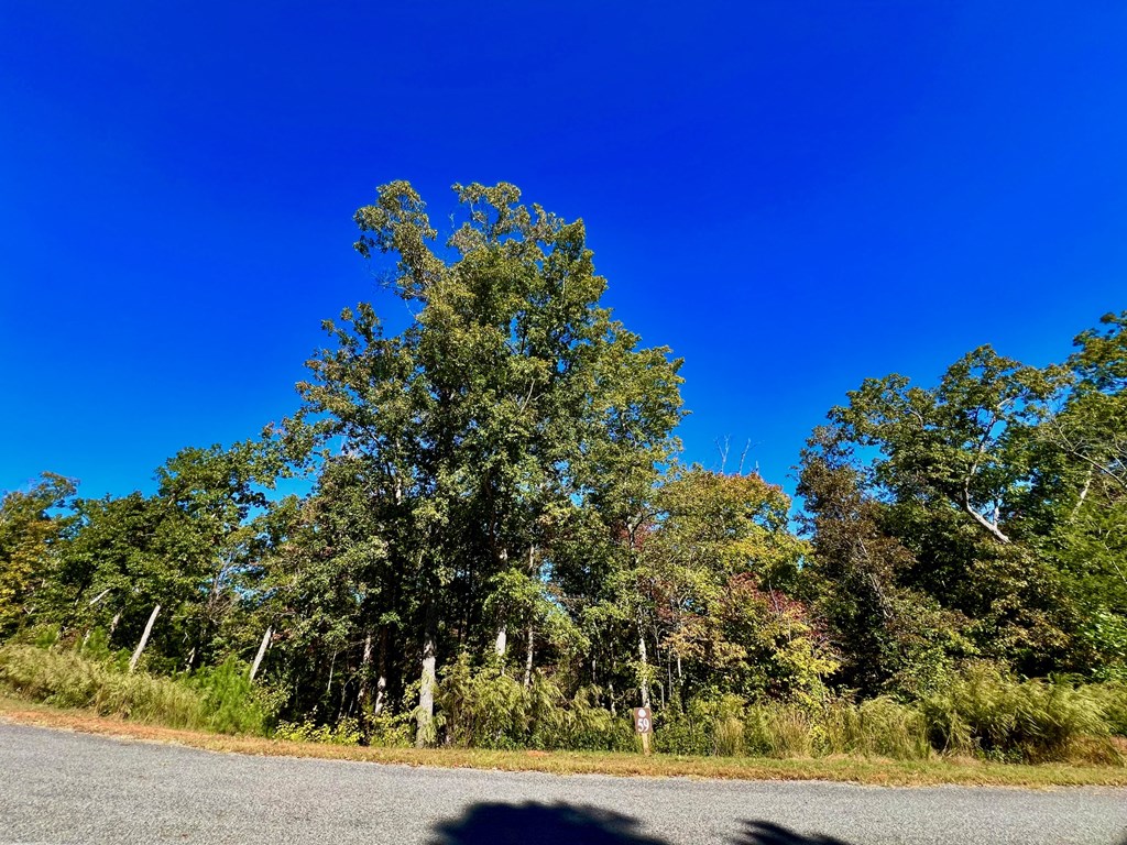 59 High River Landing