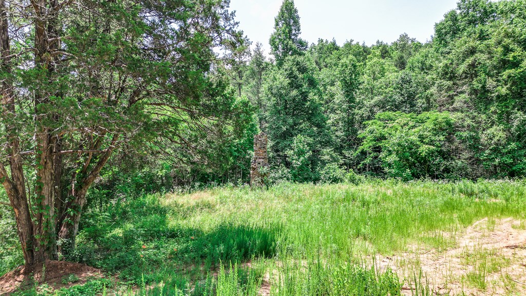 155ac Megan Trace Drive