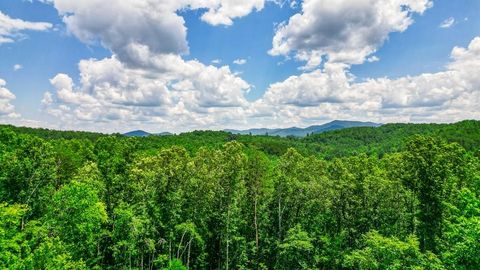 155ac Megan Trace Drive Turtletown TN 37391