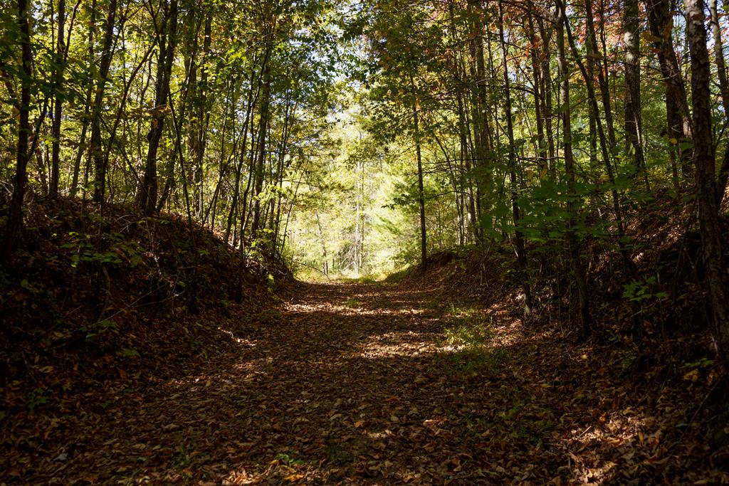 155ac Megan Trace Drive