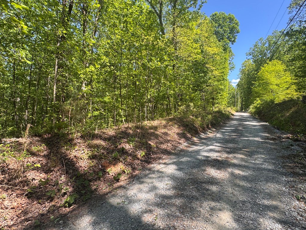 2.42 AC Poplar Drive N