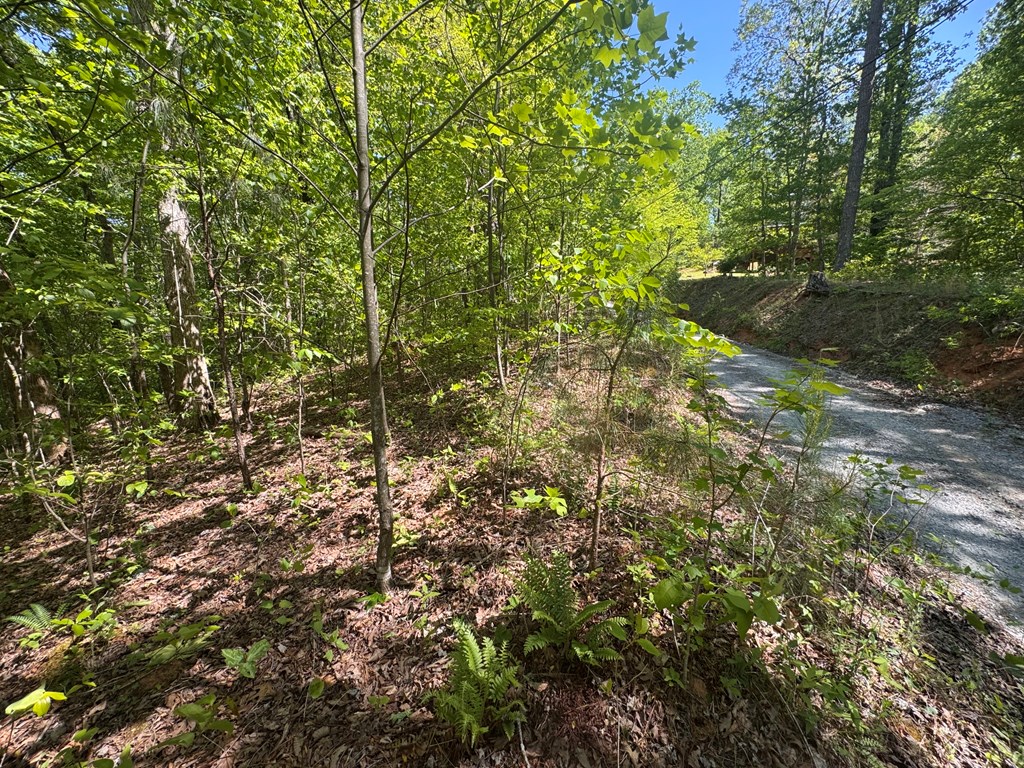 2.42 AC Poplar Drive N