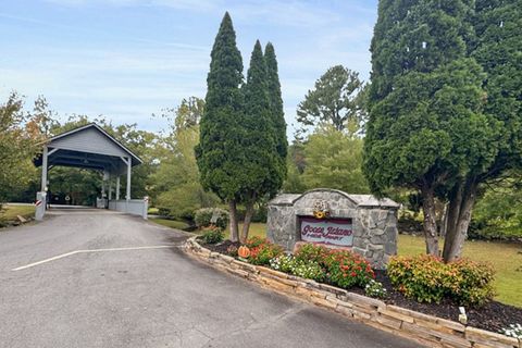 A home in Ellijay