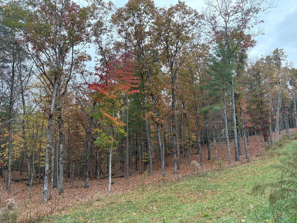 Lot 41 Ridge Drive