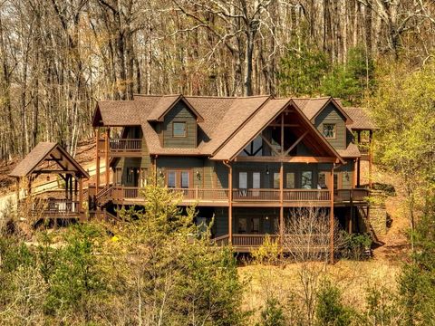 A home in Mineral Bluff