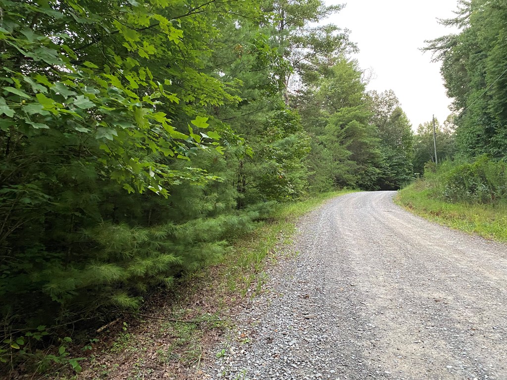 Lt 46 Whitecliff Drive