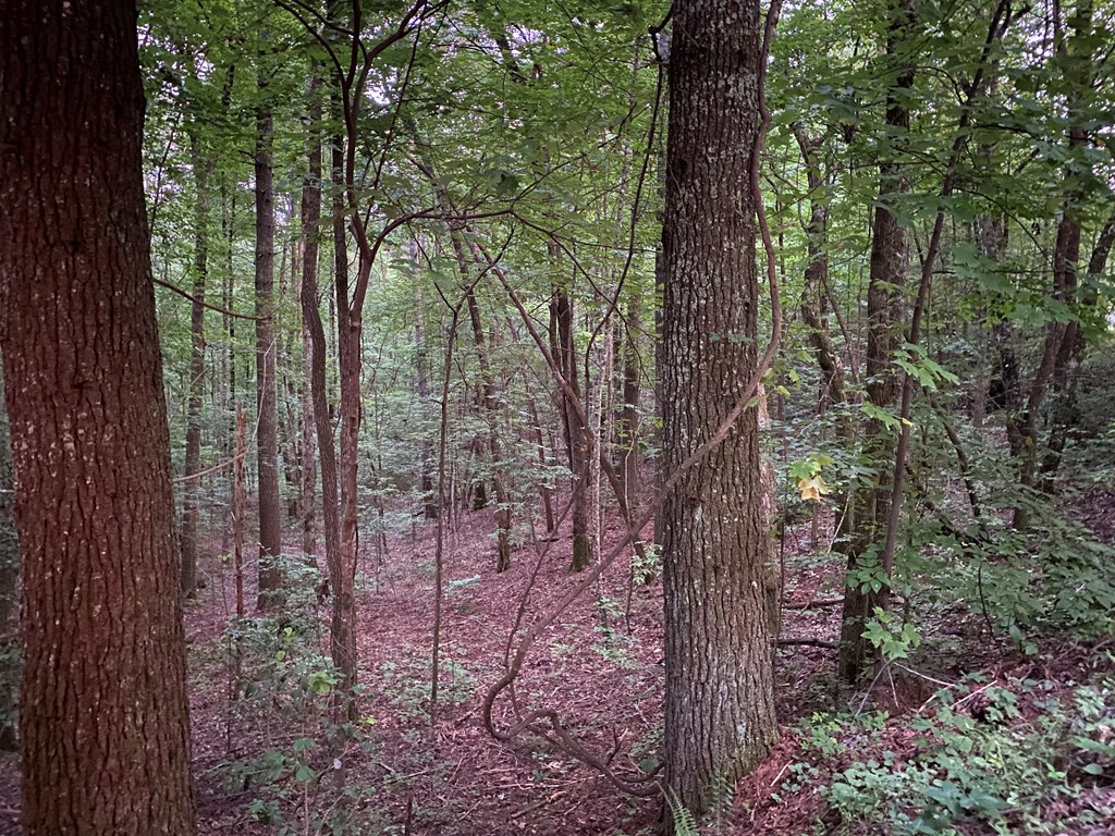 Lt 46 Whitecliff Drive