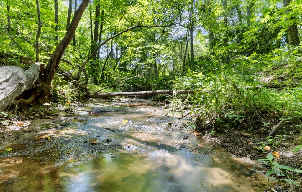 120 Brookhaven Trail