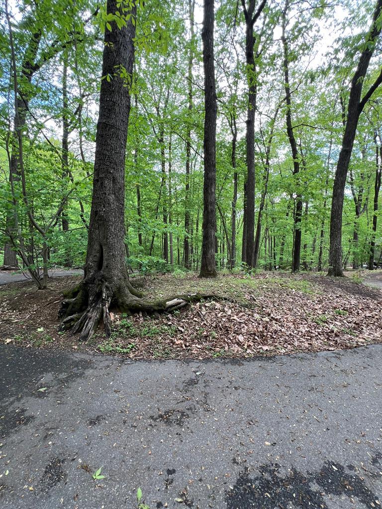 387 Windflower Drive