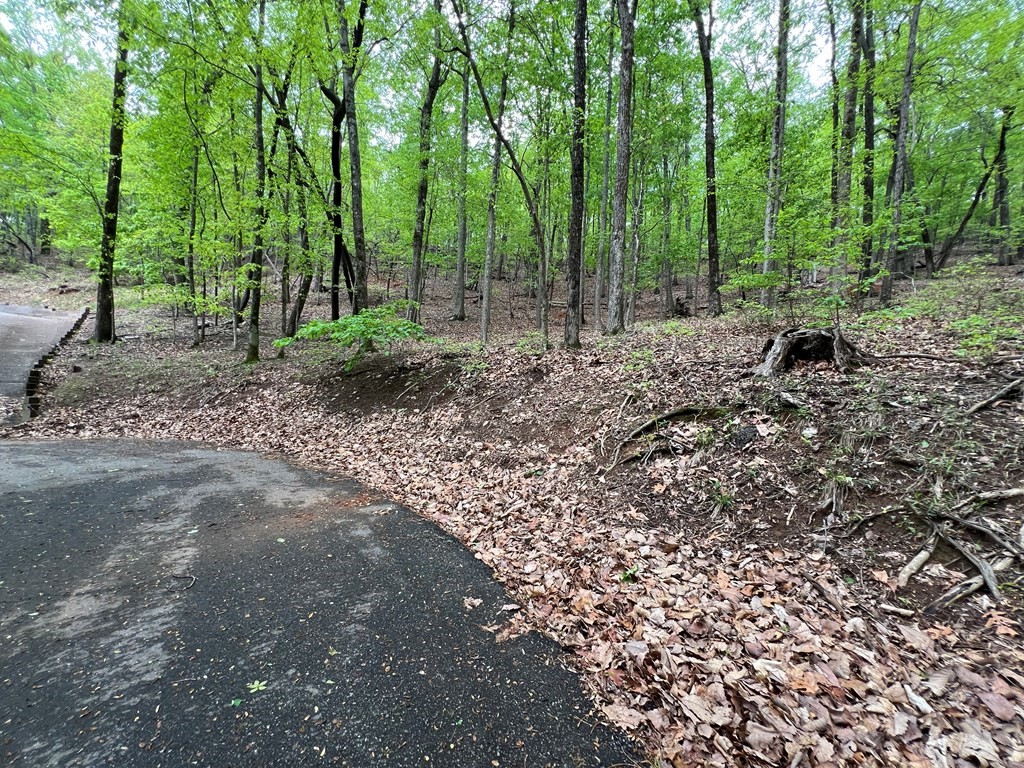 387 Windflower Drive