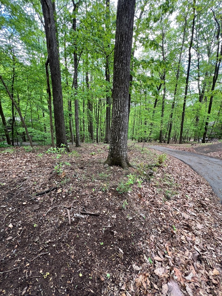 387 Windflower Drive