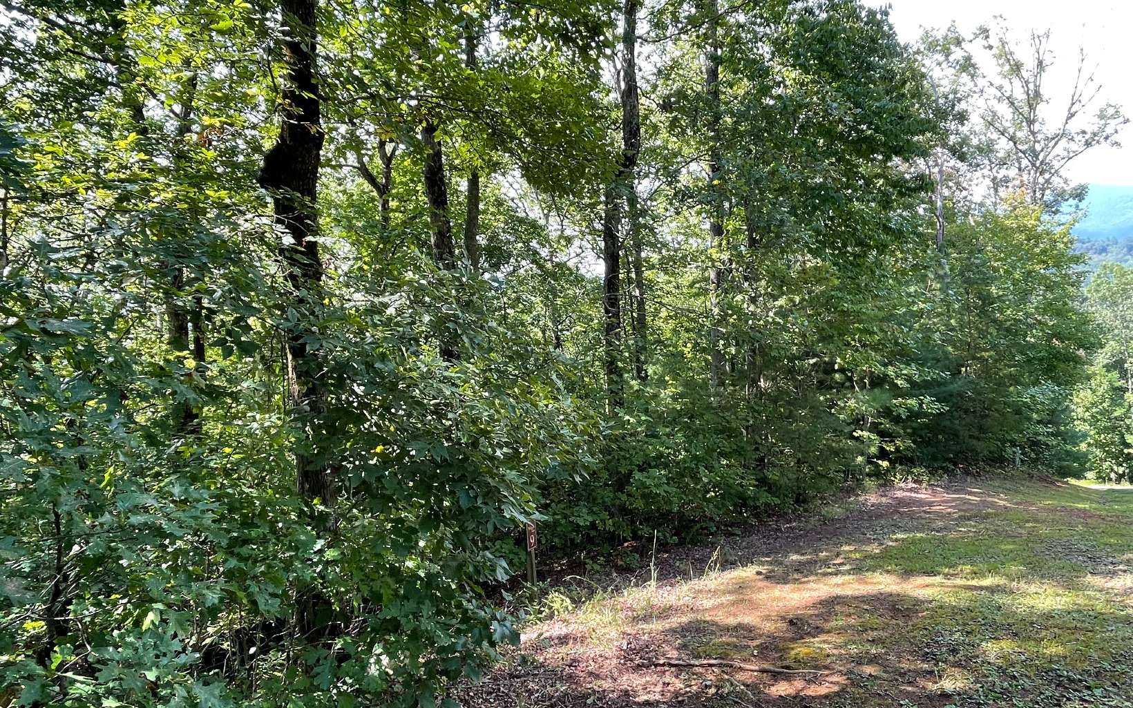 Lot 9 Wolfpen Gap Sub