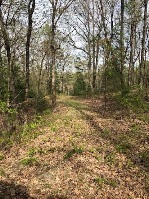 LT 17B Lakeland Drive