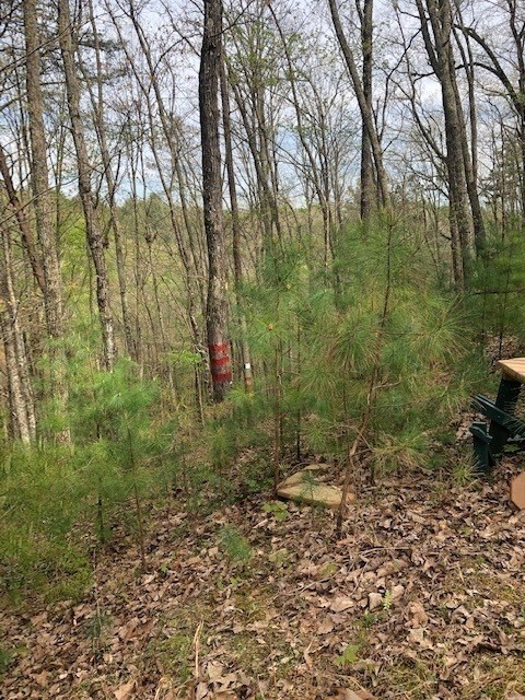 LT 17B Lakeland Drive