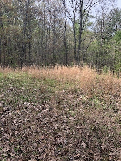 LT 17B Lakeland Drive