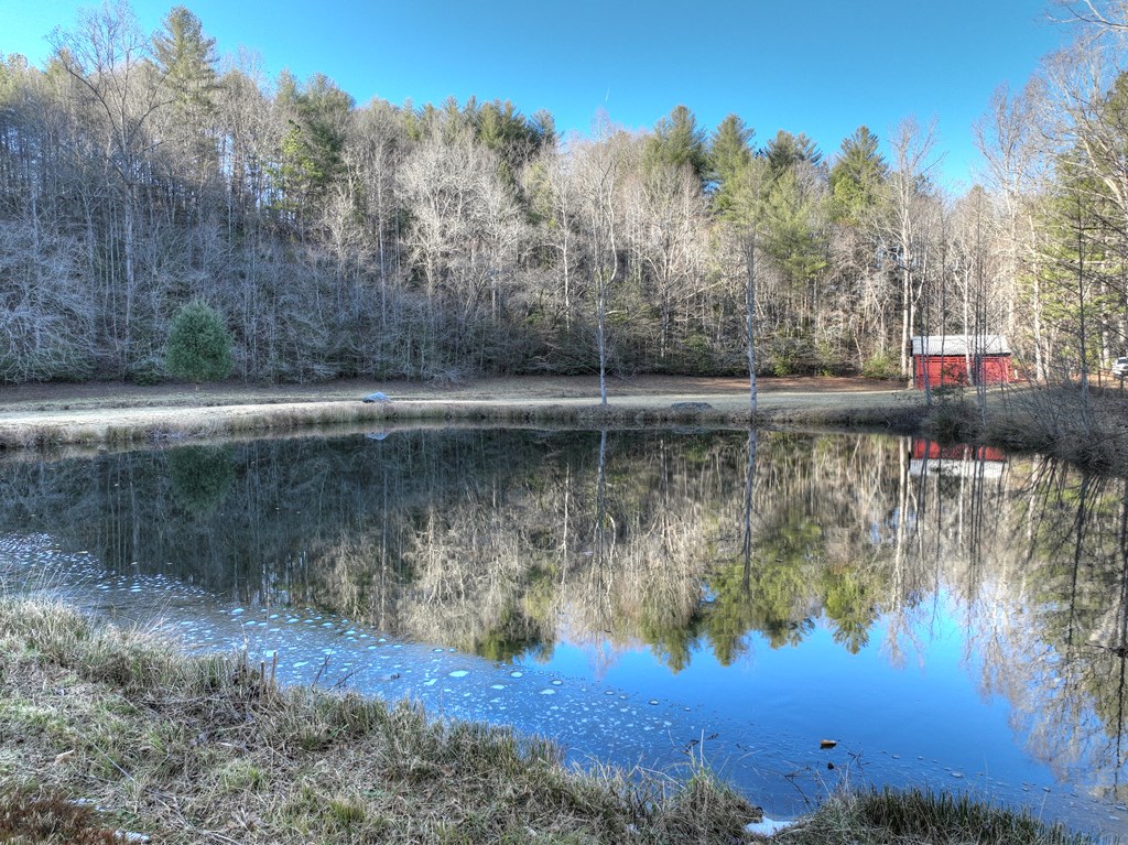 394 Cowboy Trail