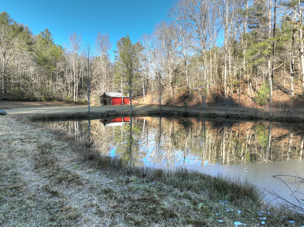 394 Cowboy Trail