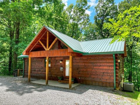 1554 Piney Spur Road S Ellijay GA 30540