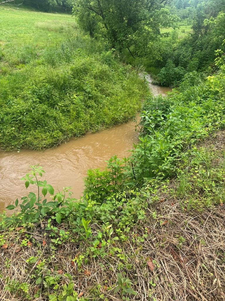 00 Tails Creek Road