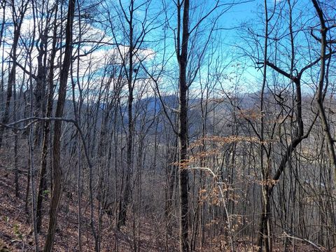 69 Colt Run Hayesville NC 28904