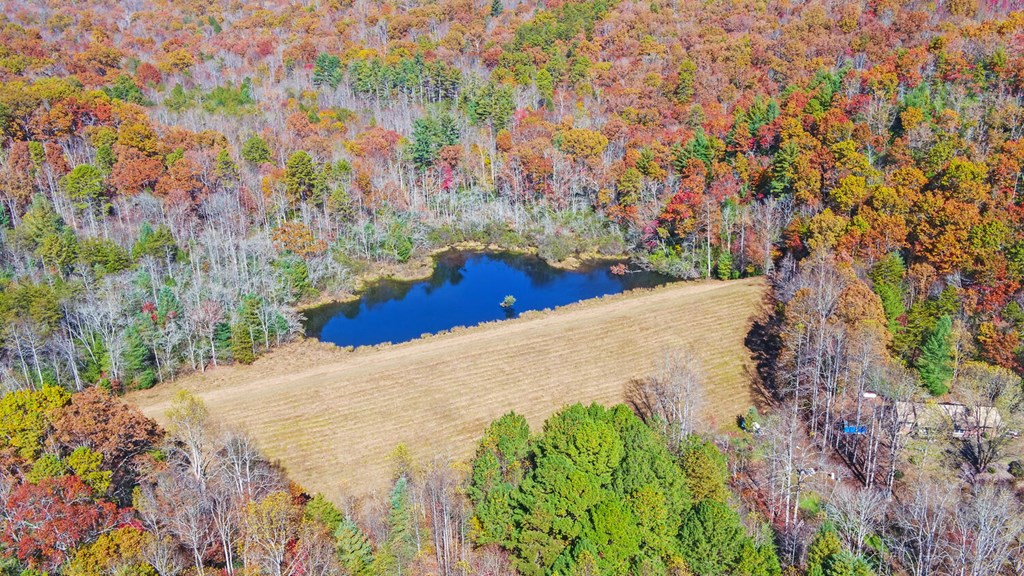 Hiawassee, Georgia, 30546, United States, 4 Bedrooms Bedrooms, ,4 BathroomsBathrooms,Residential,Active,2030577