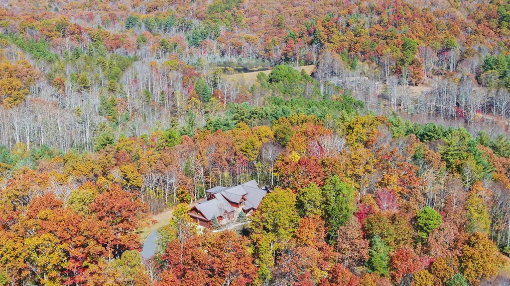Hiawassee, Georgia, 30546, United States, 4 Bedrooms Bedrooms, ,4 BathroomsBathrooms,Residential,Active,2030577