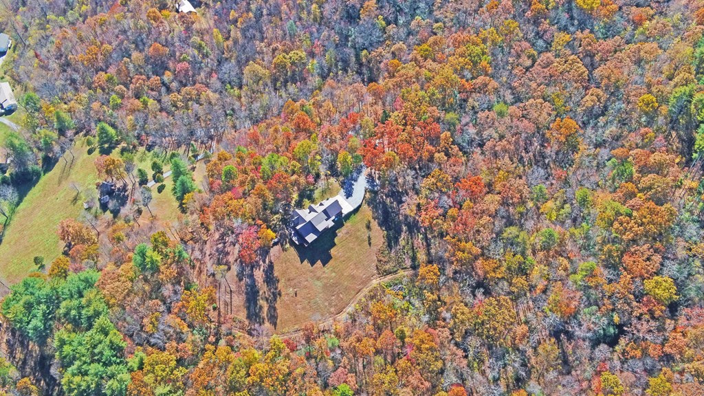 Hiawassee, Georgia, 30546, United States, 4 Bedrooms Bedrooms, ,4 BathroomsBathrooms,Residential,Active,2030577