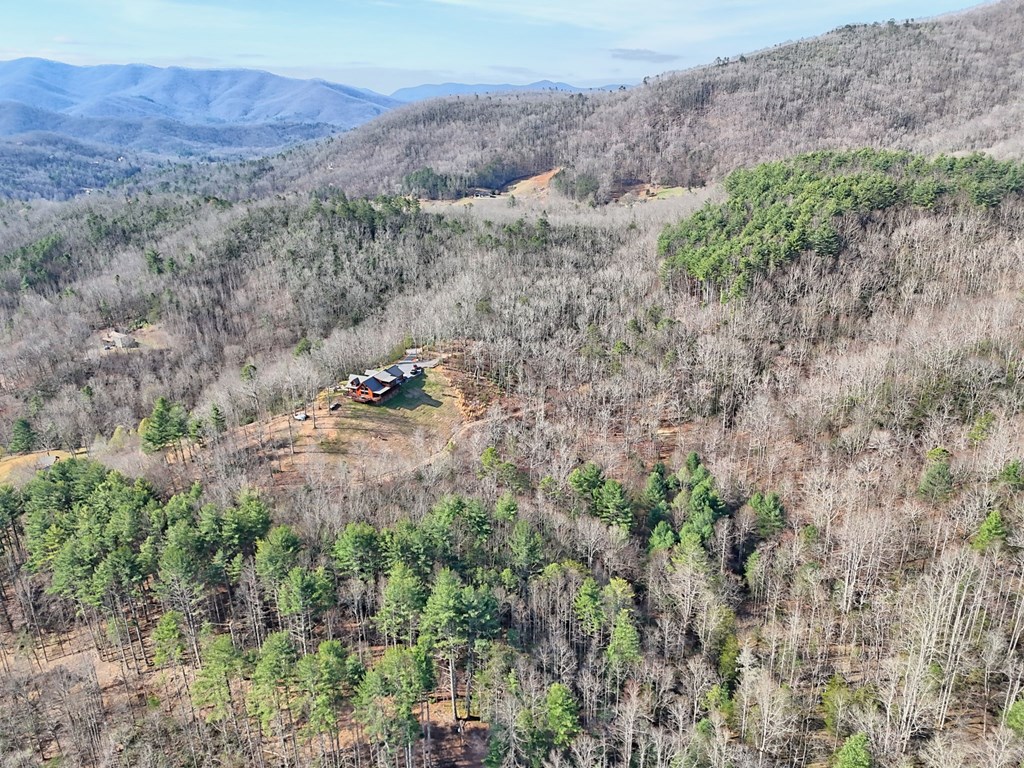 Hiawassee, Georgia, 30546, United States, 4 Bedrooms Bedrooms, ,4 BathroomsBathrooms,Residential,Active,2030577