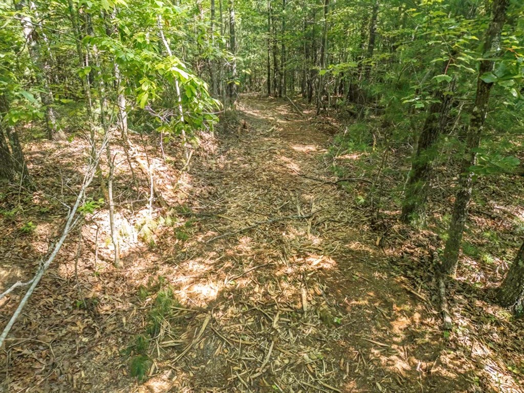 56.6 Ac Cutcane Road