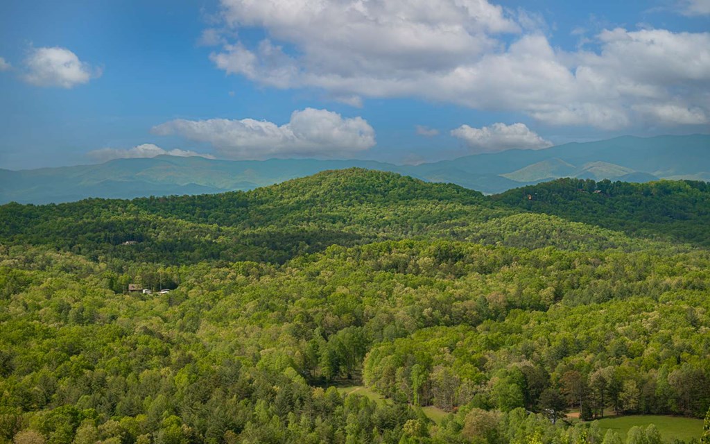 Lot 25 Scouts Overlook