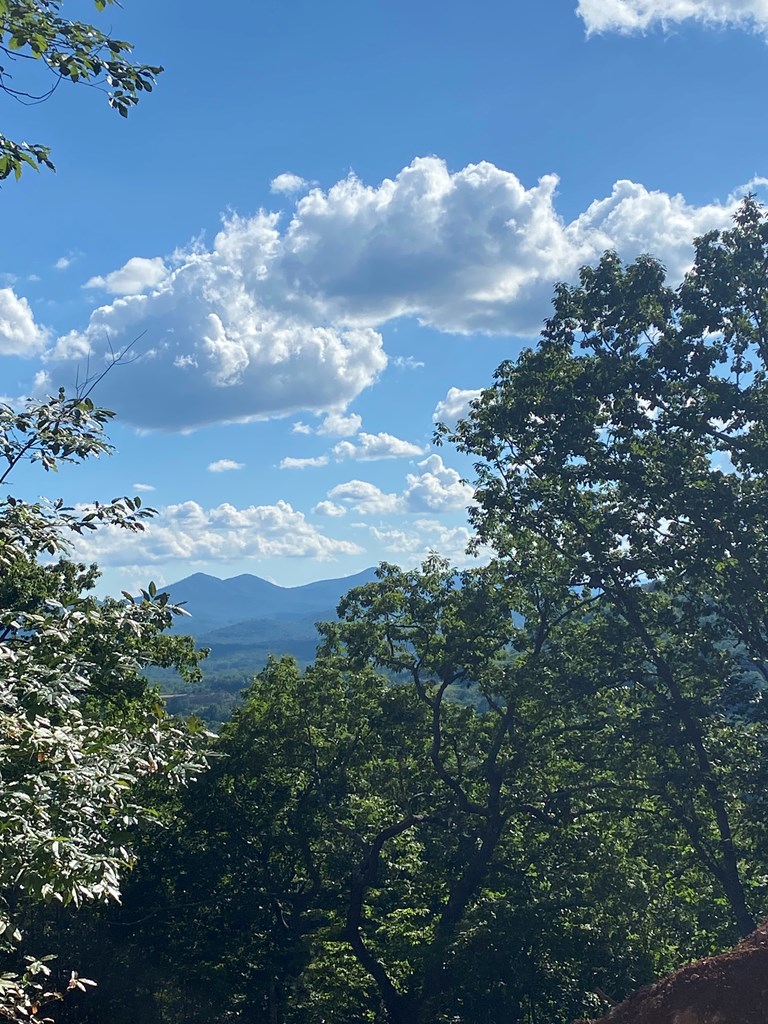 LOT 112 Natalie Lane