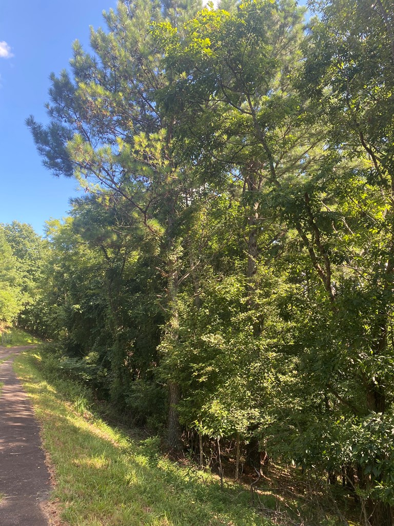 LOT 112 Natalie Lane