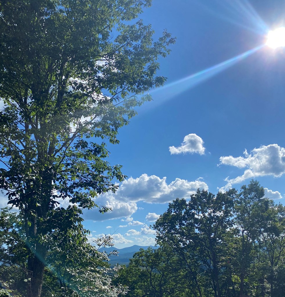 LOT 112 Natalie Lane