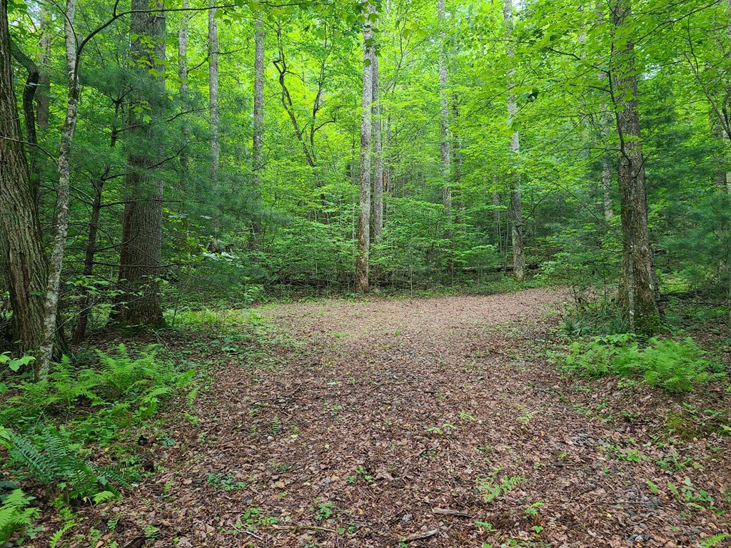 0000 Big Creek Road