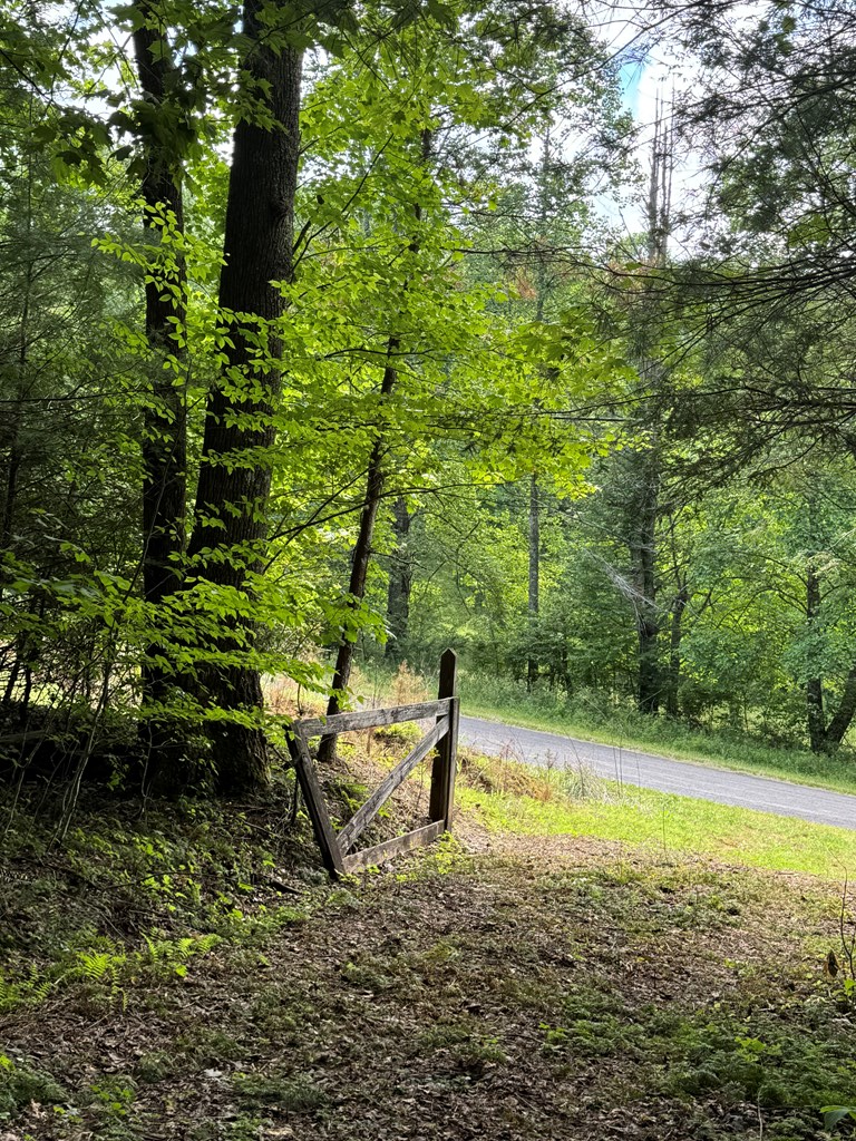 0000 Big Creek Road