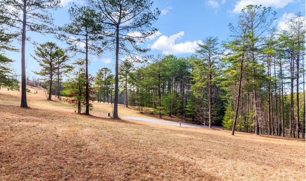 LOT 87 Creek Hollow Lane