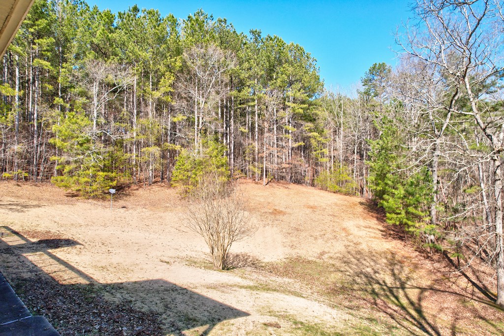 1676 Shoal Creek Road