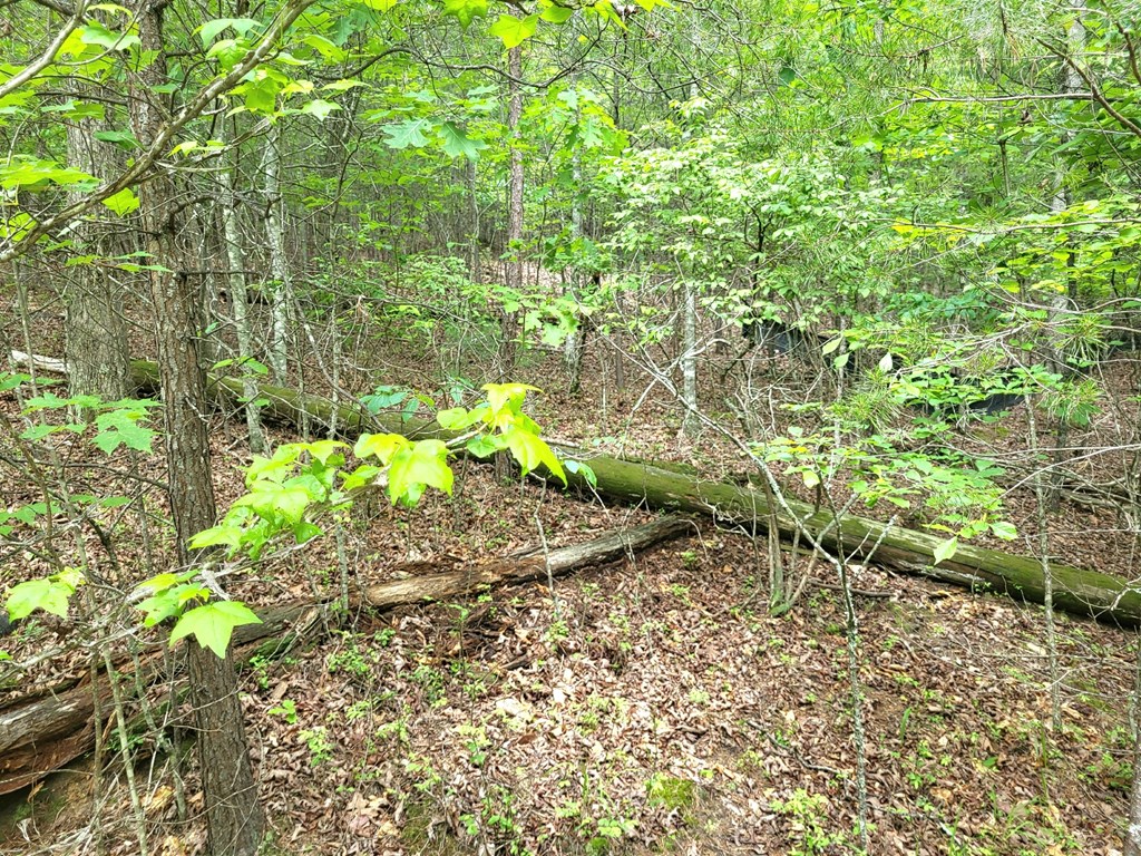 Lot 9 Folklore Court