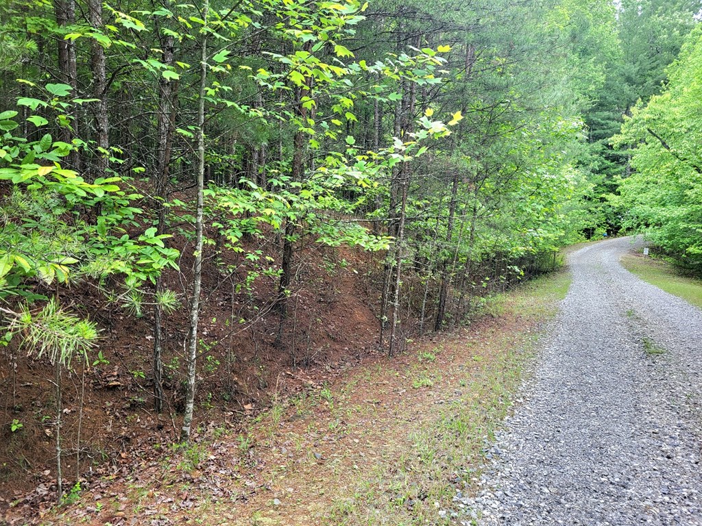 Lot 9 Folklore Court